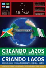 Revista BRIPAM 02
