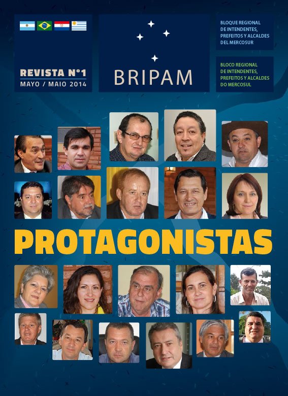 Revista BRIPAM 01